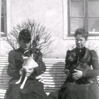 SLM M034147 - Två kvinnor sitter på en bänk med sina hundar.