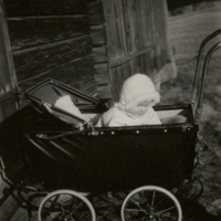 SLM P11-6039 - Bo Helmer i barnvagn, foto taget den 24 april 1934