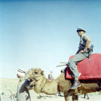 SLM P2013-1691 - Svenska FN-soldater på dromedarer i Egypten 1956-1957
