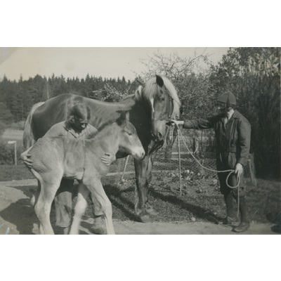 SLM P07-626 - Lisa och Karin hall med två hästar, 1933