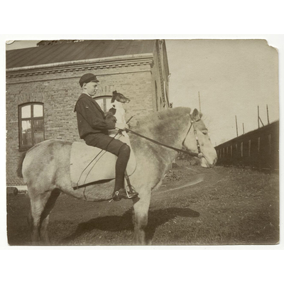 SLM P2021-0034 - Pojke och hund på häst, från konstnär Bodil Güntzel (1903-1998), 1916