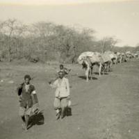 SLM FH1216 - Röda Korsets karavan och beväpnade män, Bale, Etiopien 1935-1936