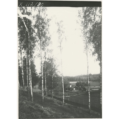 SLM X112-80 - Landskapsbild från Björkvik, 1922