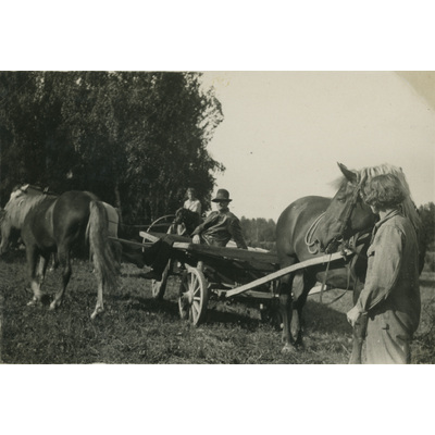 SLM P07-555 - Systrarna Hall och Fritz Andersson med hästar i hagen, 1930