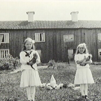 SLM AR10-861853 - Två flickor med katter och höns, Ås, Högsjö säteri