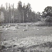 SLM M010654 - Hage i Rundbotorp, 1941