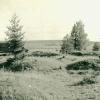 SLM A9-230 - Gravfält vid Björke i Västerljung år 1949