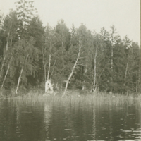 SLM P11-5668 - Vy från sjön Bjelken i Östra Vingåker