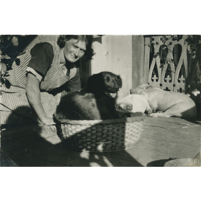 SLM P07-560 - Lisa Hall med grisar och hund, 1930