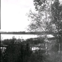 SLM Ö433 - Skogsparti med sjö