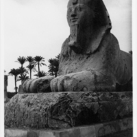 SLM P11-409 - Foto från Egypten 1963/64