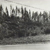 SLM M009139 - Skresta, gravfältets mellersta del från väster, foto våren 1968