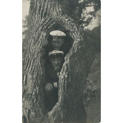 SLM P2022-1409 - Två unga män i ett ihåligt träd år 1919