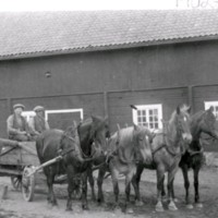 SLM M027529 - Arbetshästar och drängar vid Berga, Husby-Oppunda, på 1920-talet