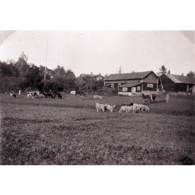 SLM R171-99-4 - Björktorps gård 1933