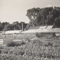 SLM M009256 - Växthus på Rossvik, 1940-1950-tal