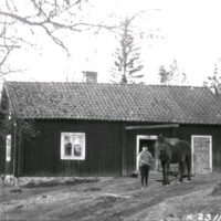 SLM X2311-78 - Barn med häst, Strängnäs, 1900-tal