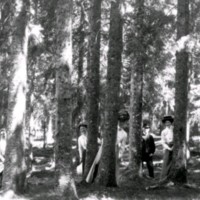 SLM RR88-98-1 - Fyra kvinnor och en man på skogsutflykt