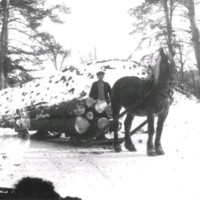 SLM X2194-78 - En häst drar ett timmerlass på vintern