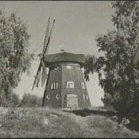 SLM A7-544 - Håsta kvarn i Överselö år 1947