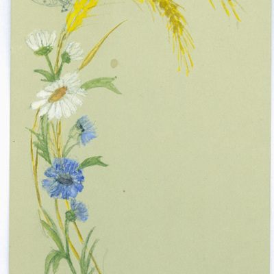SLM 29191 - Akvarell, blomstermotiv på kort, av Clara Sandströmer (1861-1942)