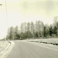 SLM A16-353 - Gravfält, Knutsta