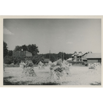 SLM M004651 - Åkfors kvarn med sädeskrakar i förgrunden, foto 1947.