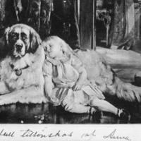 SLM P07-1916 - Vykort efter målning med sovande flicka och hund, tidigt 1900-tal