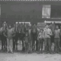 SLM R185-94-2 - Stalldrängar och unga pojkar med hästar uppställda framför ladugårdsbyggnaden 1917