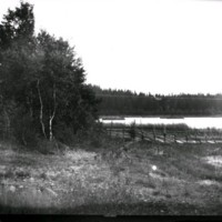 SLM Ö463 - Skogsparti, sjöstrand med gärdsgård