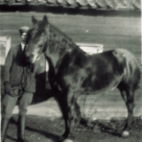SLM R130-84-6 - Bror med hästen Docka, 1920-tal
