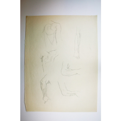 SLM 50058 - Krokiteckning av Bodil Güntzel (1903-1998), motiv med kroppsdelar
