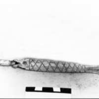SLM 871 - Pennskaft av ben i form av en fisk, troligen från Nyköping