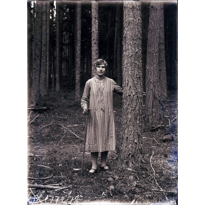 SLM X1772-78 - Kvinna i skog, 1910-1920-tal