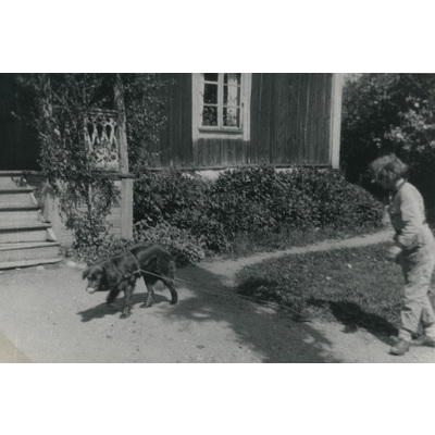SLM P07-581 - Ragnhild Liljekvist och en hund, Björktorp 1931