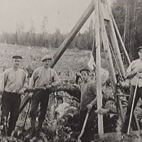 SLM M002071 - Fabriksarbetare från Högsjö bruk sysselsatta med stubbrytning åt Bränslekommissionen år 1917