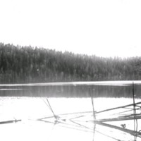 SLM Ö484 - Skogsparti med sjö
