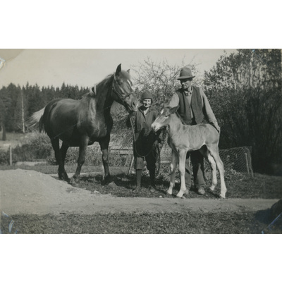 SLM P07-628 - Karin Hall och Fritz Andersson med tå hästar