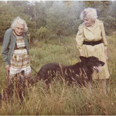 SLM P07-682 - Karin och Lisa Hall, Björktorp på Tosterön, sommaren 1965