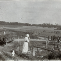 SLM P07-1113 - Kvinna i trädgården vid Staf i Floda socken, marscherande militärer år 1915