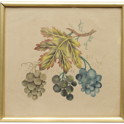 SLM 11998 5 - Akvarell, vindruvor, av Hilda Lundqvist (1858-1944)