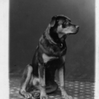 SLM P05-70 - Hunden Vincent, 1920-tal