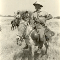 SLM FH1219 - Män i sjukvårdsuniformer på åsnor, Etiopien 1935-1936