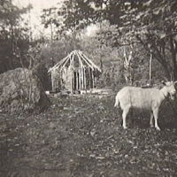 SLM M008818 - Bygge av ett stenåldershus, stenåldersexperimentet 1918