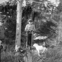 SLM P07-1249 - Skogsarbete, troligen Folke Ahlstrand (1901-1954) med hund