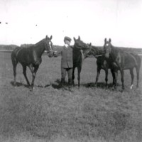 SLM Ö628 - Man med hästar på hagen vid Ökna säteri i Floda socken
