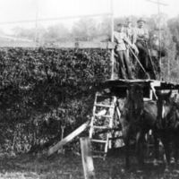 SLM M024502 - Hästtröska på Hedlandet i Mariefred ca 1927