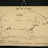 SLM 15061 1 - Skolplansch - Hur svin styckas