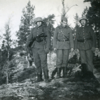 SLM P09-1115 - Svenska soldater vid Hangöfronten i Finska fortsättningskriget
