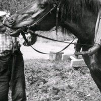 SLM M029632 - En man med en häst på en åker